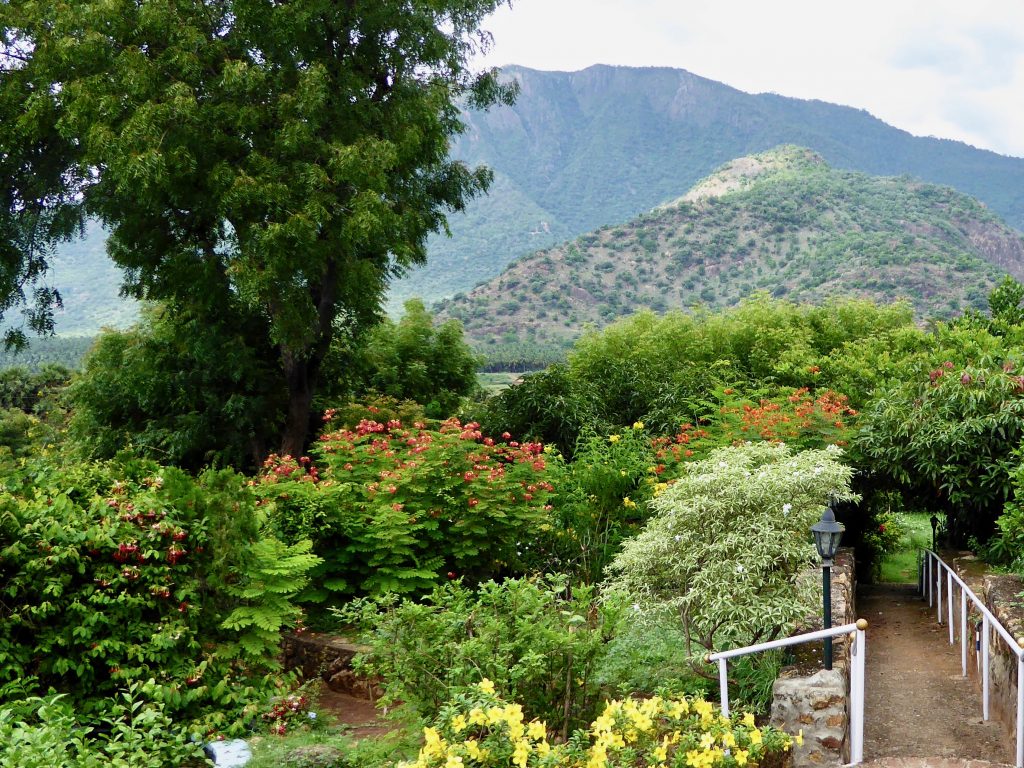 View from Cardamom House Verandah, Gardens and Mountains